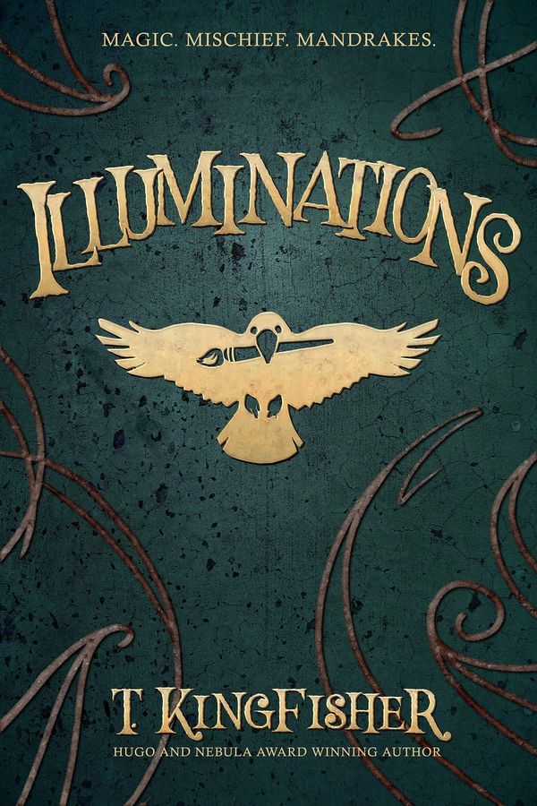 Illuminations Book Cover