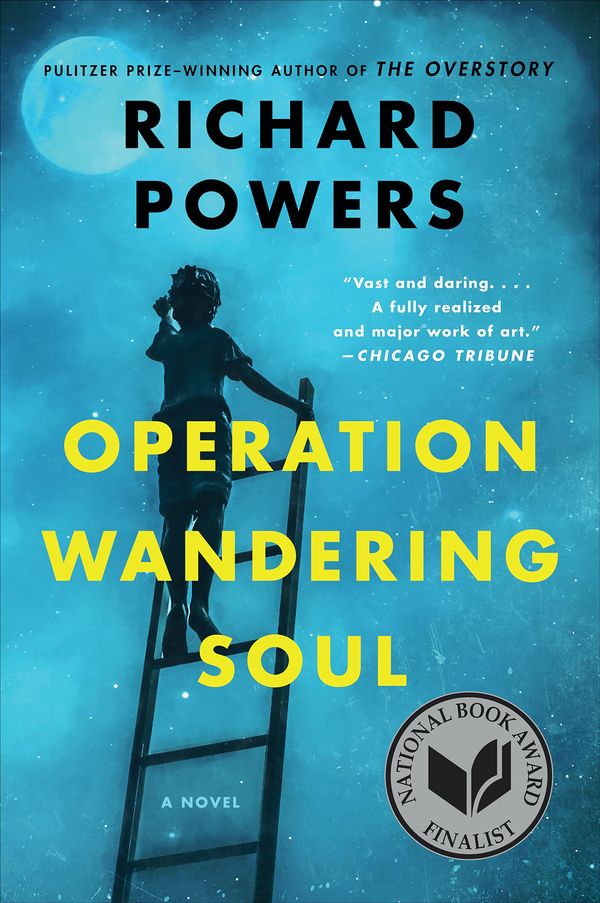 Operation Wandering Soul Book Cover