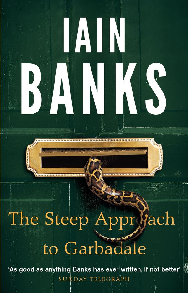 The Steep Approach To Garbadale Book Cover
