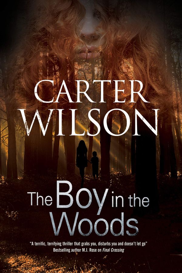 The Boy in the Woods Book Cover