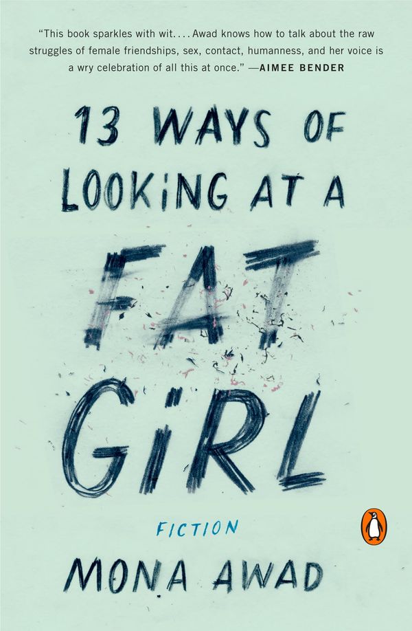 13 Ways of Looking at a Fat Girl Book Cover