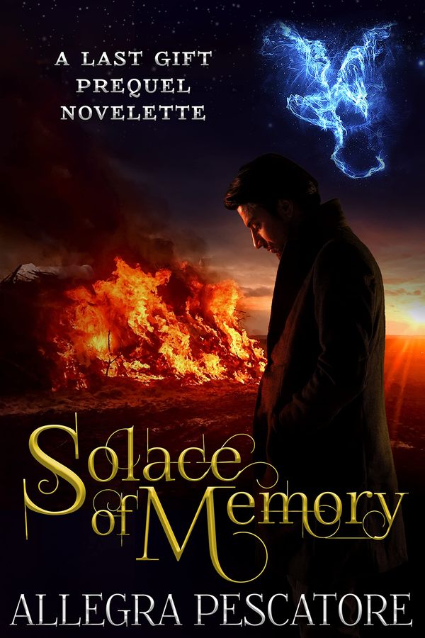 Solace of Memory Book Cover