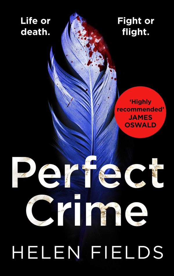 Perfect Crime Book Cover