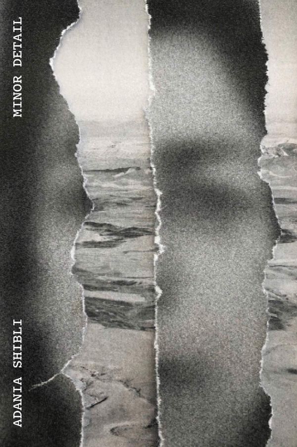 Minor Detail Book Cover