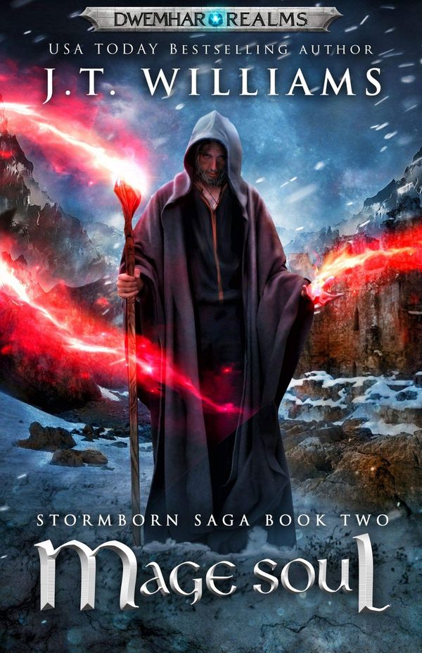 Mage Soul Book Cover