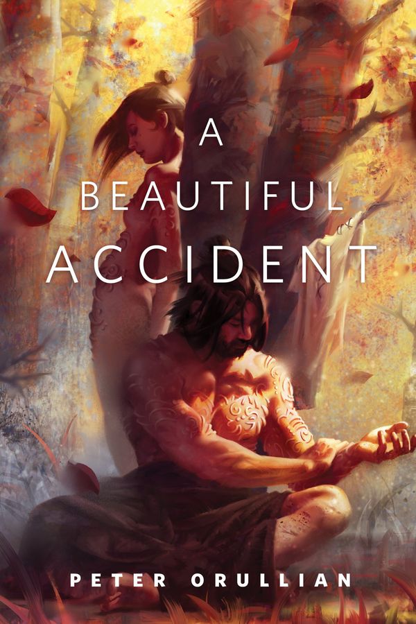 A Beautiful Accident Book Cover