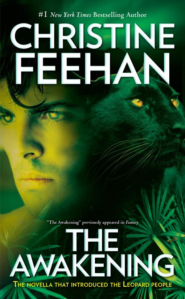 The Awakening cover