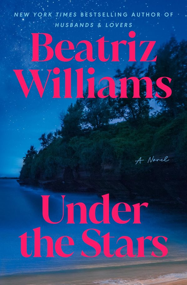 Under the Stars Book Cover