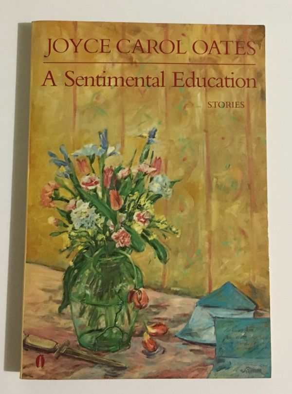 Sentimental Education Book Cover