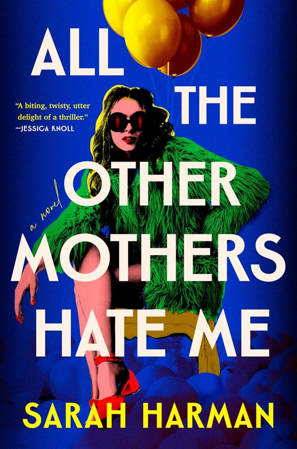 All the Other Mothers Hate Me Book Cover