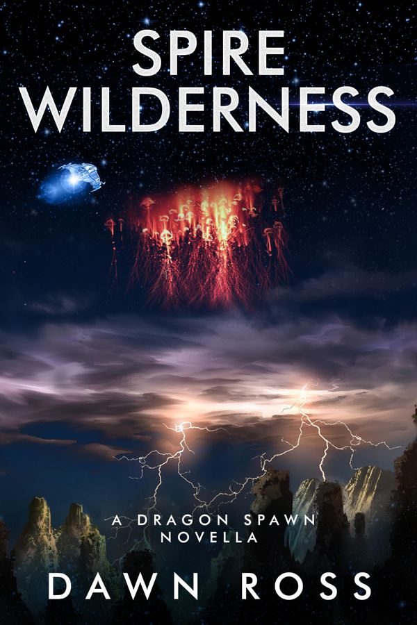 Spire Wilderness Book Cover