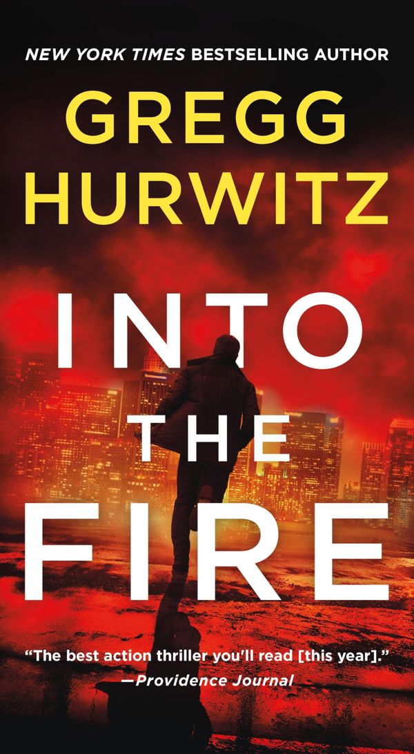 Into the Fire Book Cover