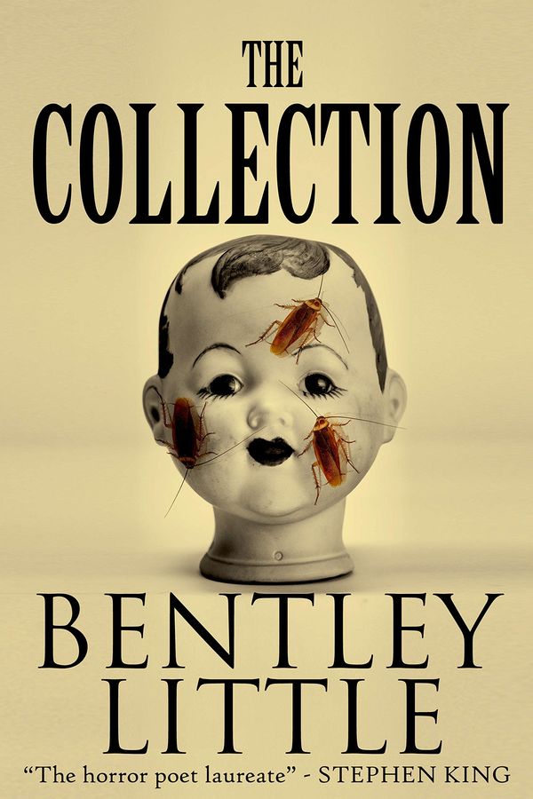 The Collection Book Cover