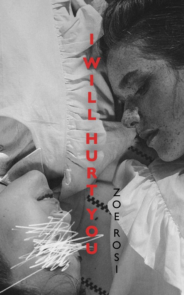 I Will Hurt You Book Cover