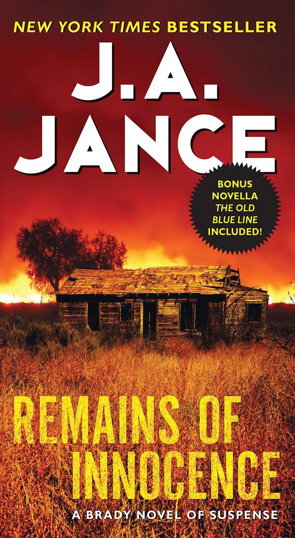 Remains of Innocence Book Cover