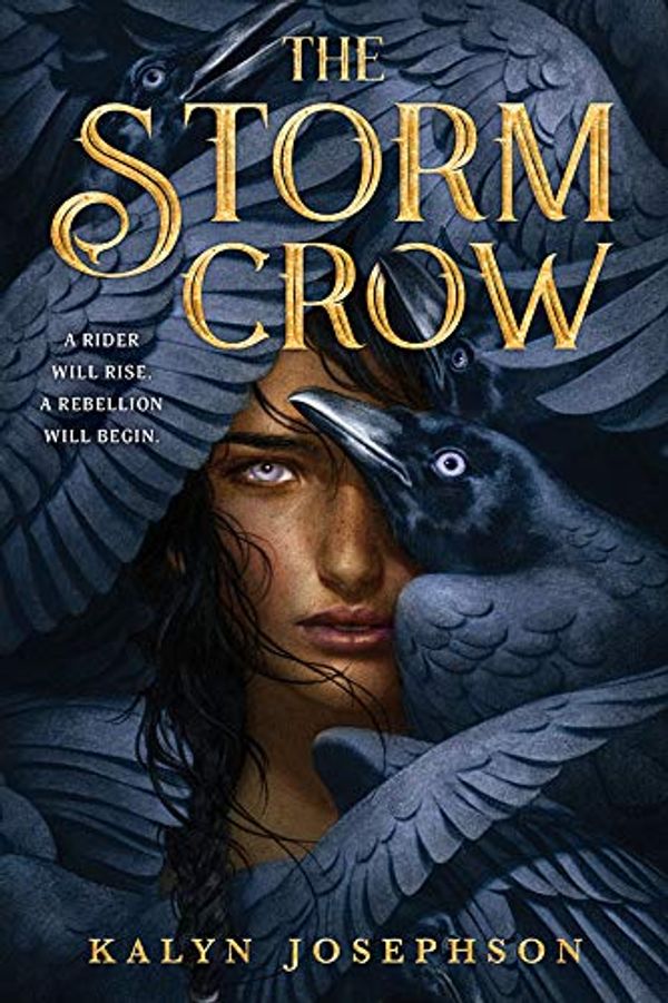 The Storm Crow cover