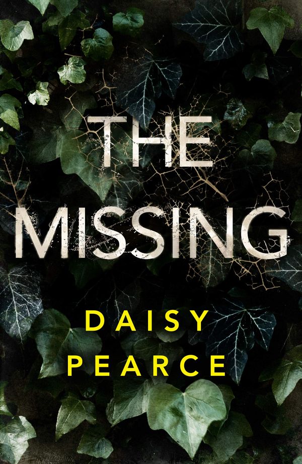 The Missing Book Cover