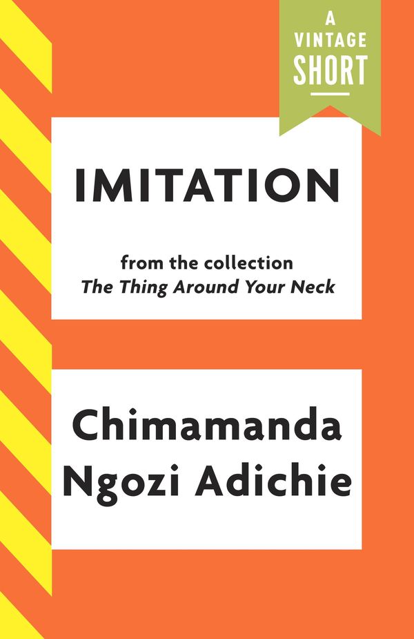 Imitation Book Cover