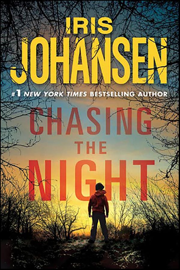 Chasing the Night Book Cover