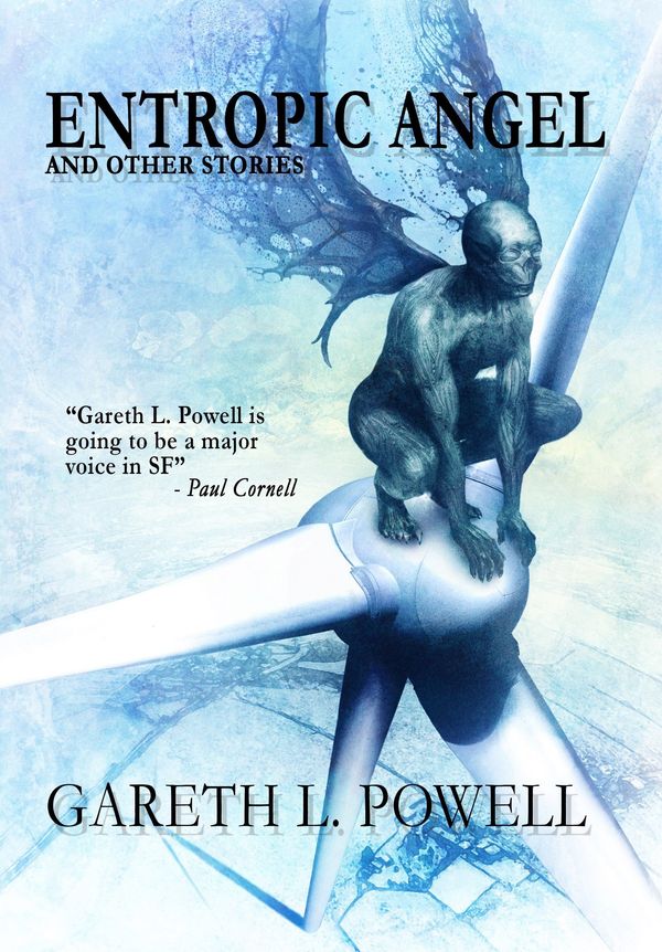 Entropic Angel Book Cover
