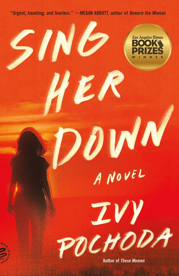 Sing Her Down Book Cover