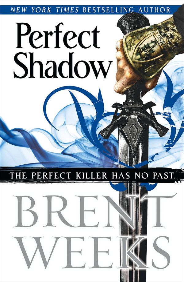 Perfect Shadow: A Night Angel Novella Book Cover