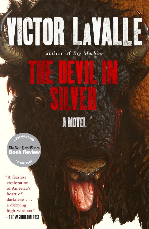The Devil in Silver Book Cover