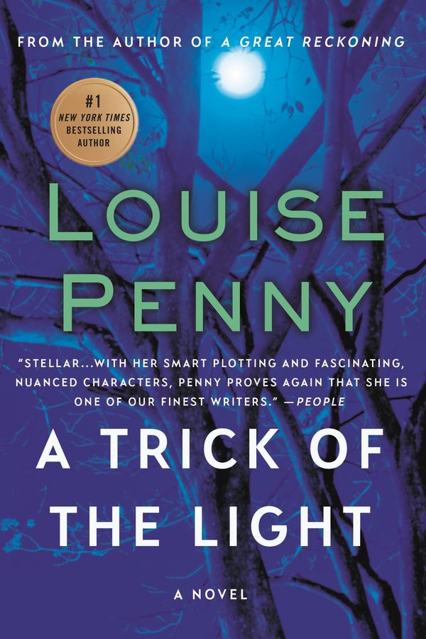 A Trick of the Light Book Cover
