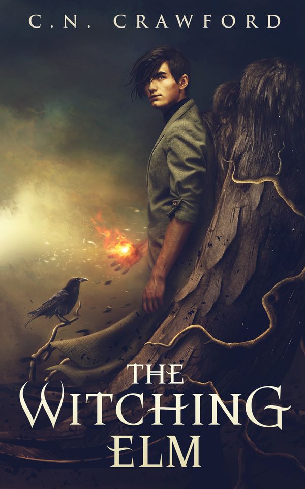 The Witching Elm cover