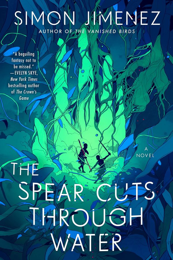 The Spear Cuts Through Water Book Cover
