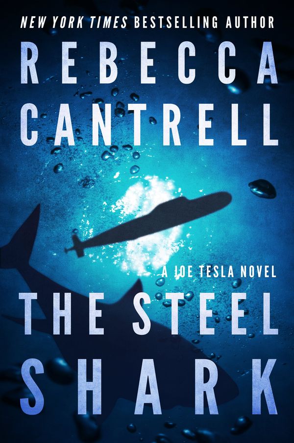 The Steel Shark Book Cover