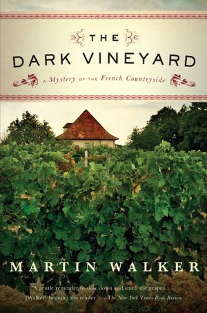 The Dark Vineyard of the French Countryside