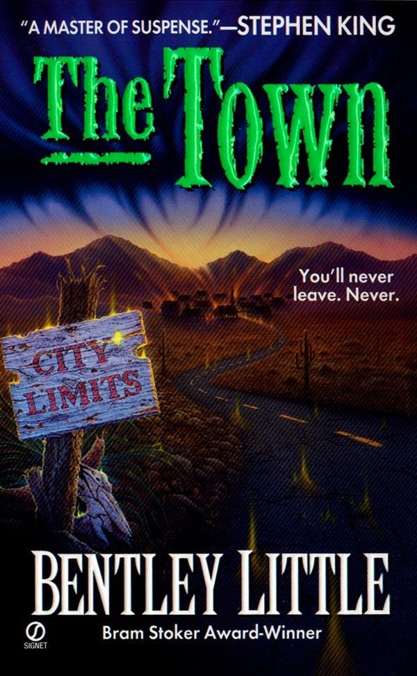 The Town Book Cover