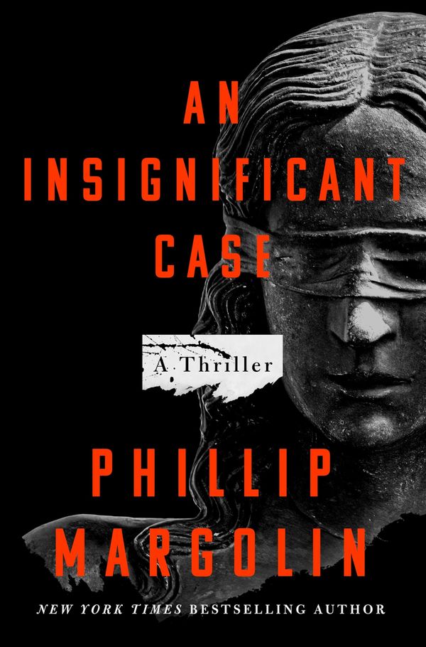 An Insignificant Case Book Cover