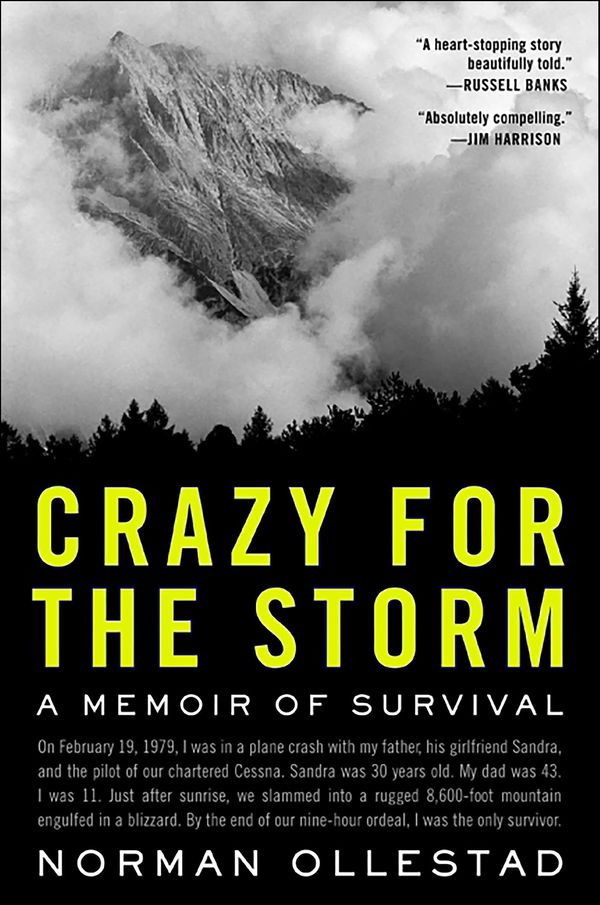 Crazy for the Storm Book Cover