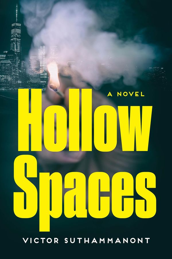 Hollow Spaces Book Cover