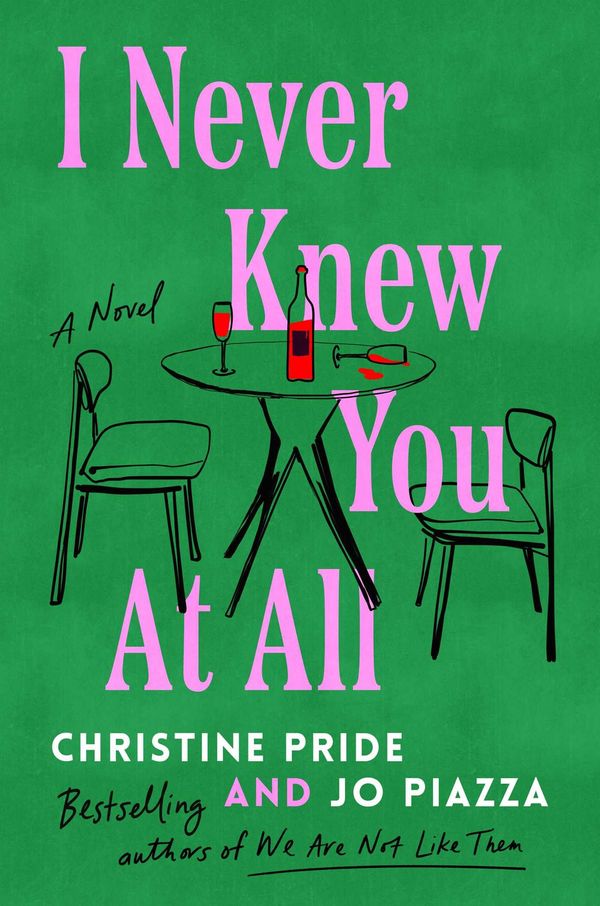 I Never Knew You at All Book Cover
