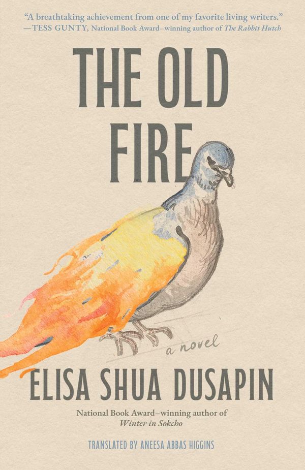The Old Fire Book Cover