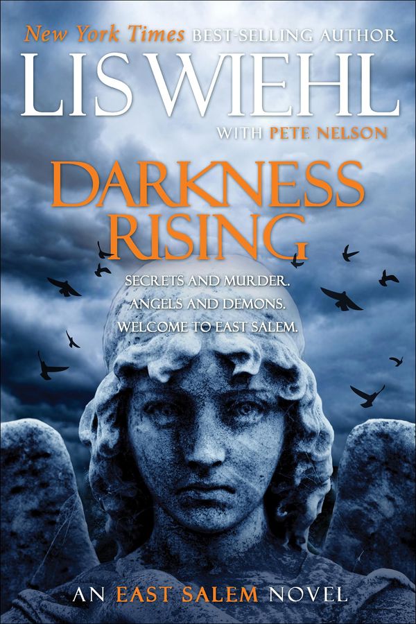Darkness Rising Book Cover