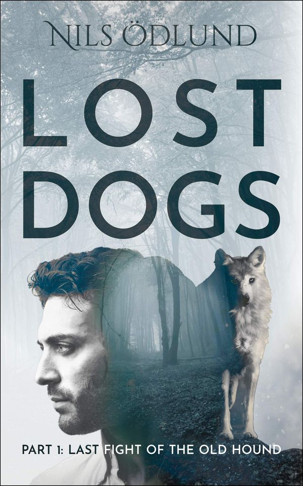 Last Fight of the Old Hound cover