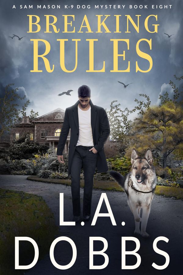 Breaking Rules Book Cover