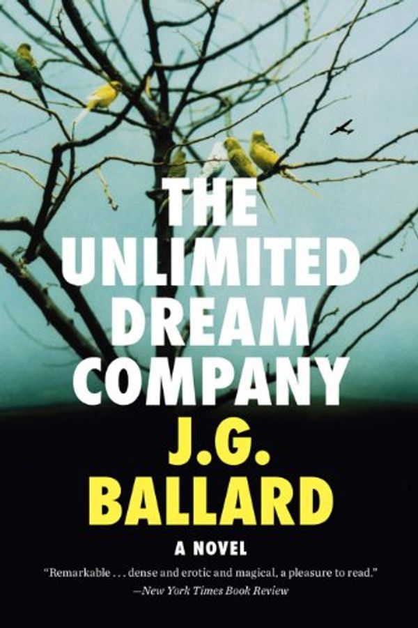 The Unlimited Dream Company Book Cover