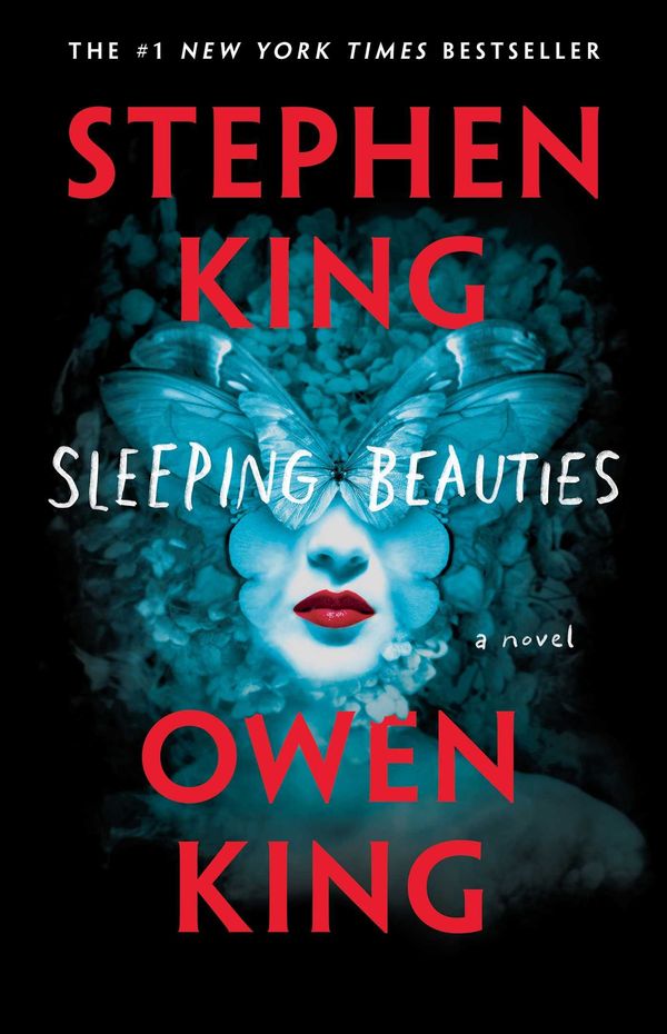 Sleeping Beauties Book Cover