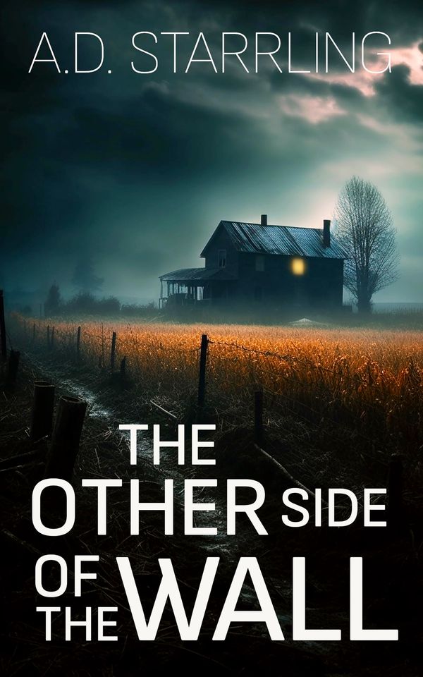 The Other Side of the Wall Book Cover