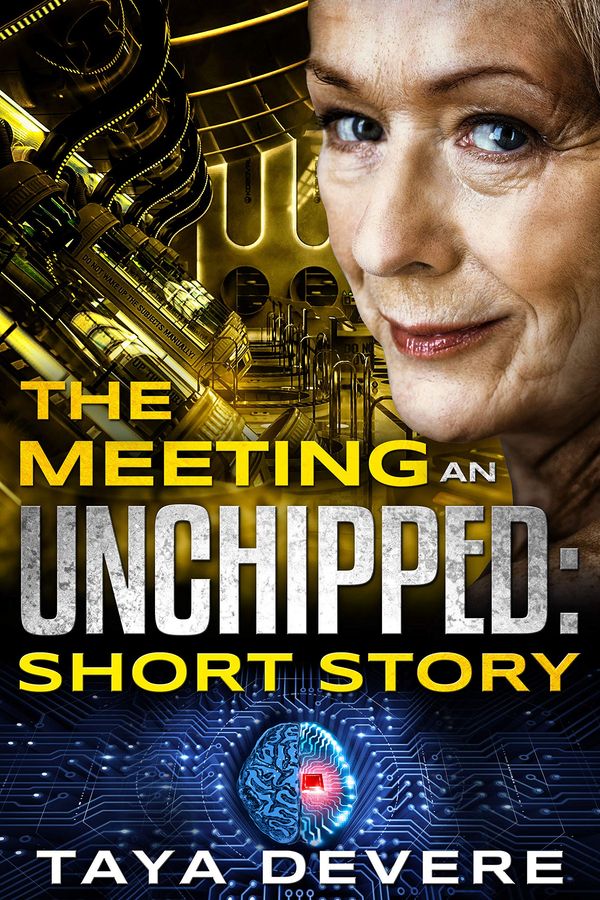 The Meeting Book Cover