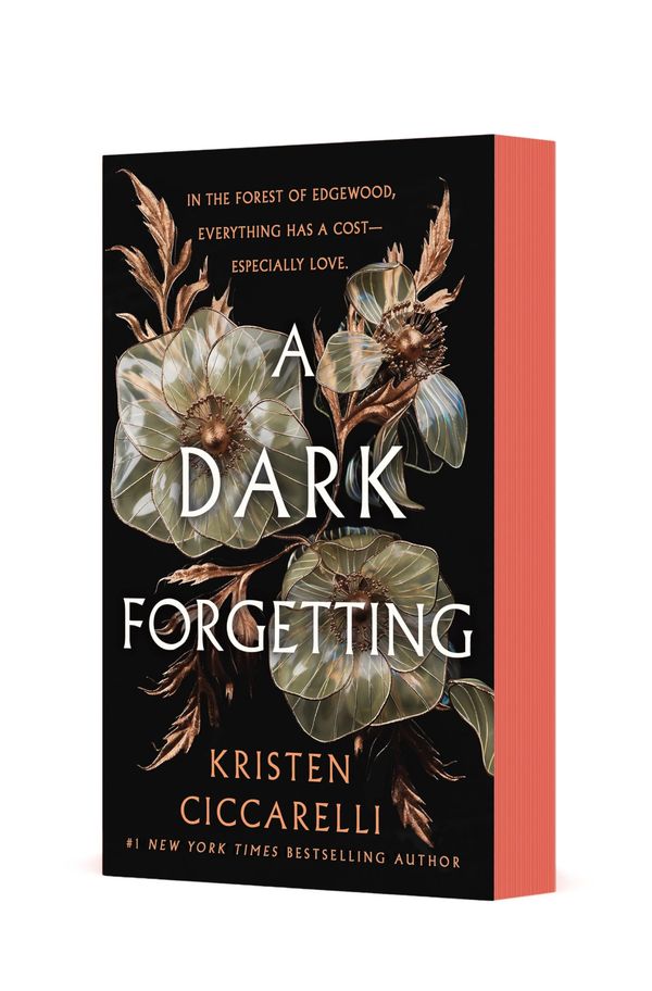 A Dark Forgetting Book Cover