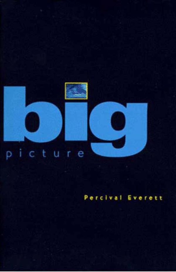 Big Picture: Stories Book Cover