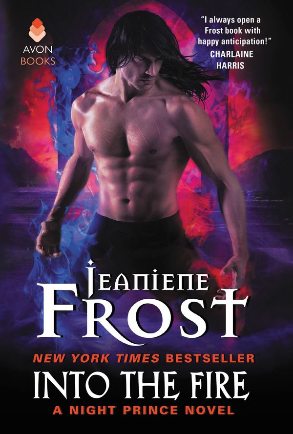 Into the Fire Book Cover