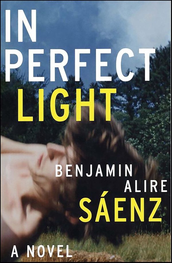 In Perfect Light Book Cover
