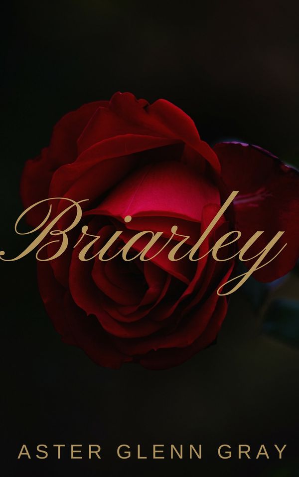 Briarley Book Cover